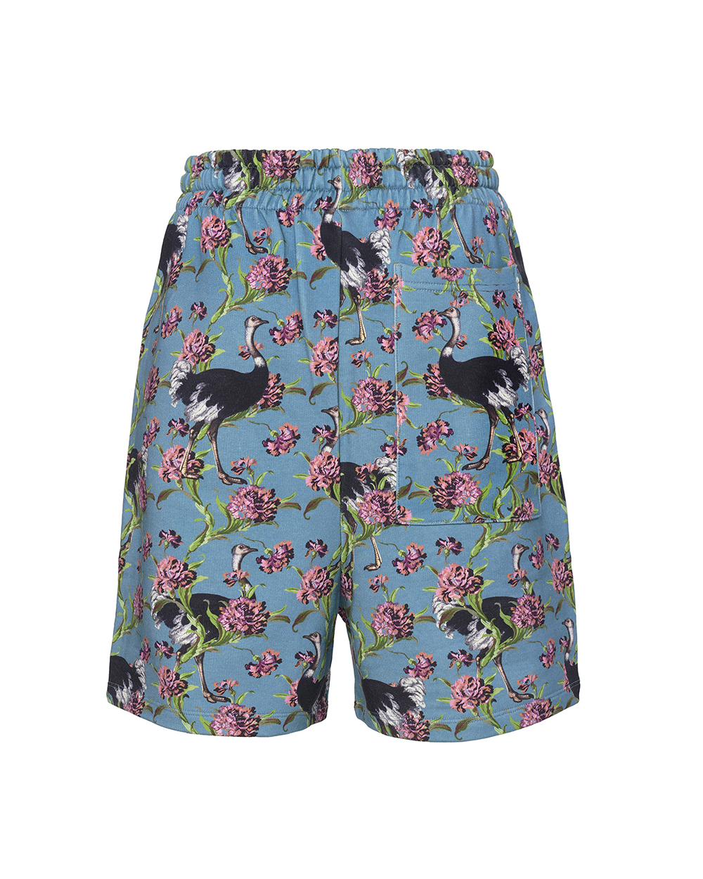 Shorts OSTRICHES Ottanio Teal | Simone Guidarelli